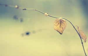 學會這些思維，你就能成為大咖【送禮思維5】